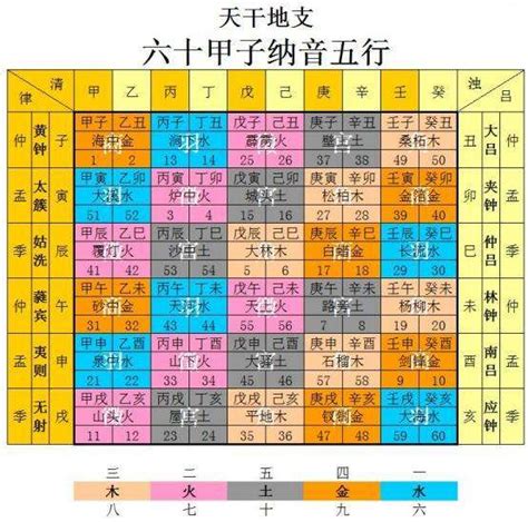 命局木三局|紫微斗数中木三局的个性